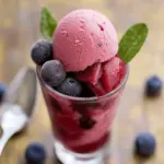 Plum Sorbet