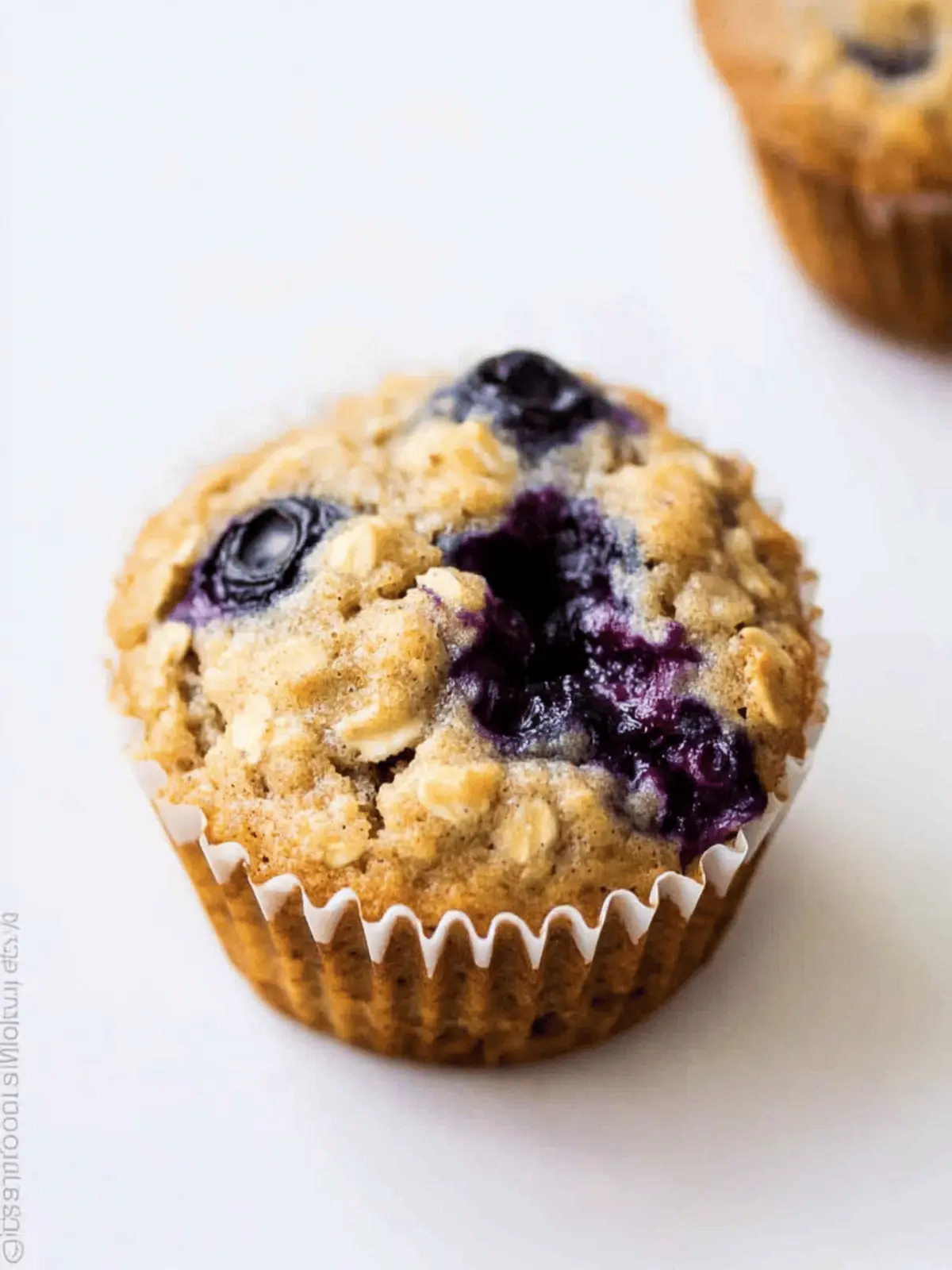 Delicious Blueberry Oatmeal Muffins You’ll Love to Bake